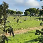 Alfeli-ap * Olhos de Agua (Albufeira)