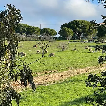 Alfeli-ap * Olhos de Agua (Albufeira)